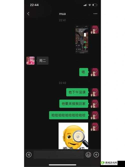 偷偷跟女朋友妈妈聊天正常吗:探讨背后意义