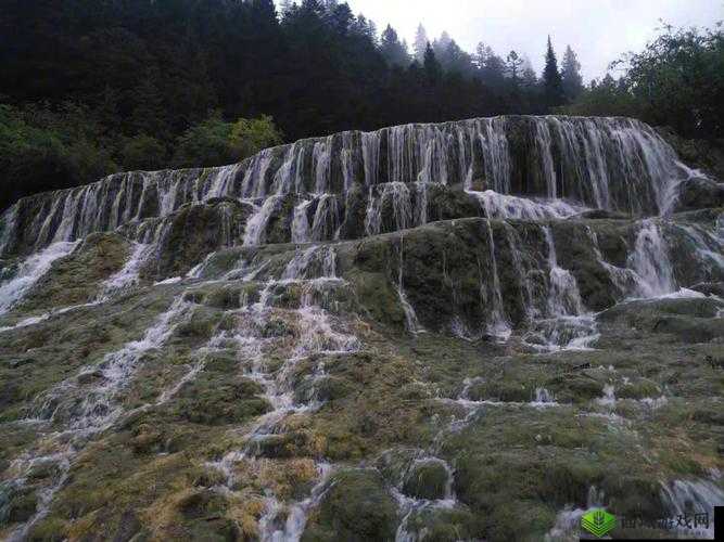 黄龙风景区溪水潺潺的秘密是什么:探寻其背后成因
