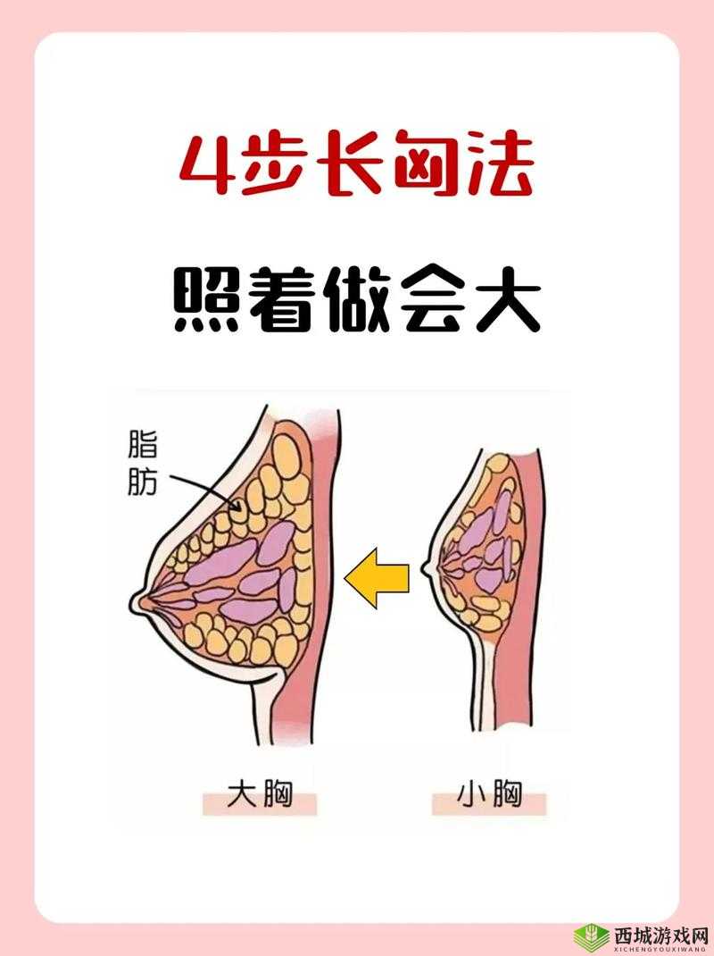 13 怎样让胸变大变软:探索青春期胸部发育的有效方法