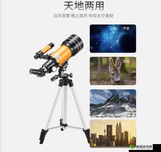 探寻 977 国产连接线背后的奥秘:品质与性价比的完美结合