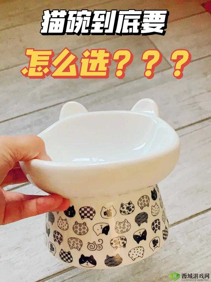 小森生活猫碗怎么获得 猫碗放不了解决方法介绍及玩法革命预测